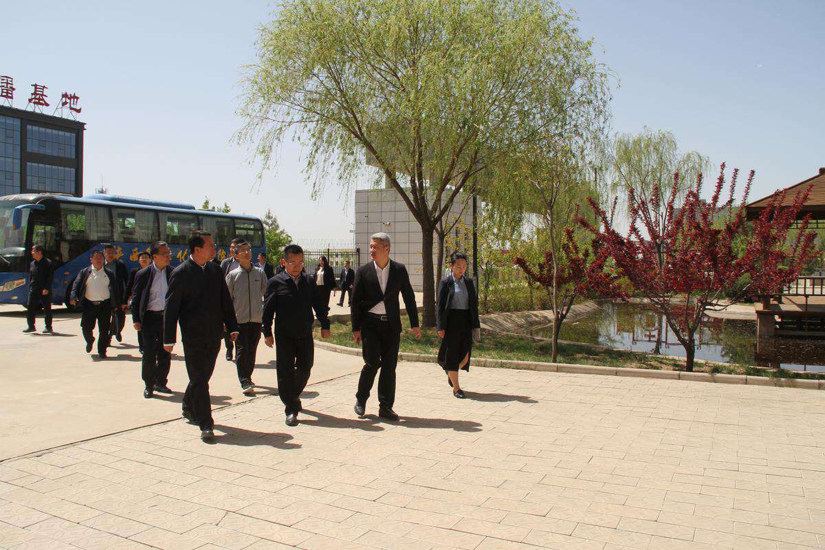 图文